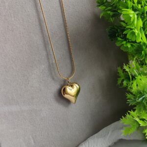 Heart charm Necklace